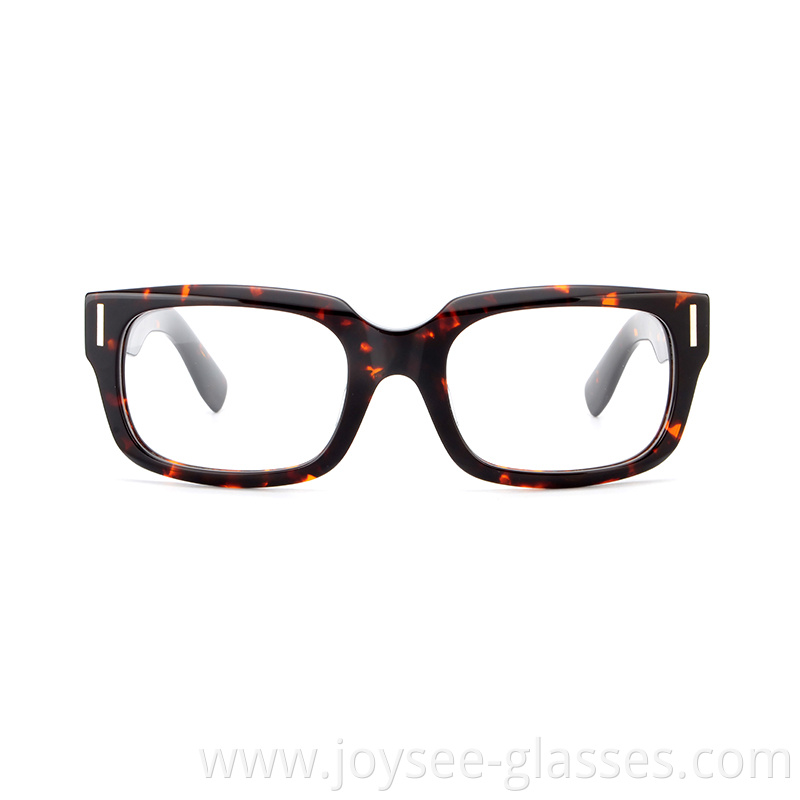 Polished Eyeglasses 3